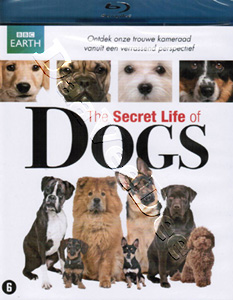 Secret Life of Dogs |   Blu-Ray